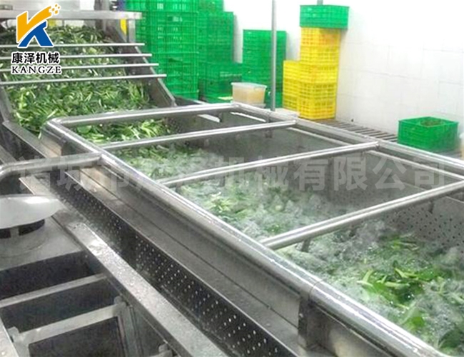 气泡蔬菜清洗设备