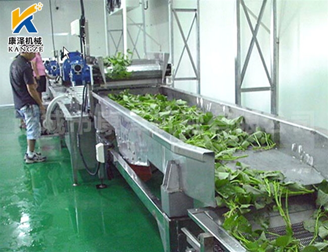 净菜加工流水线